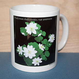 mug DS-127 6673.jpg